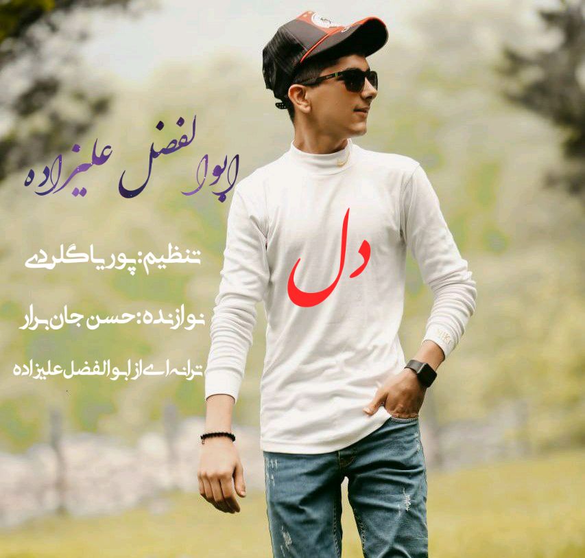 ابوالفضل علیزاده دل